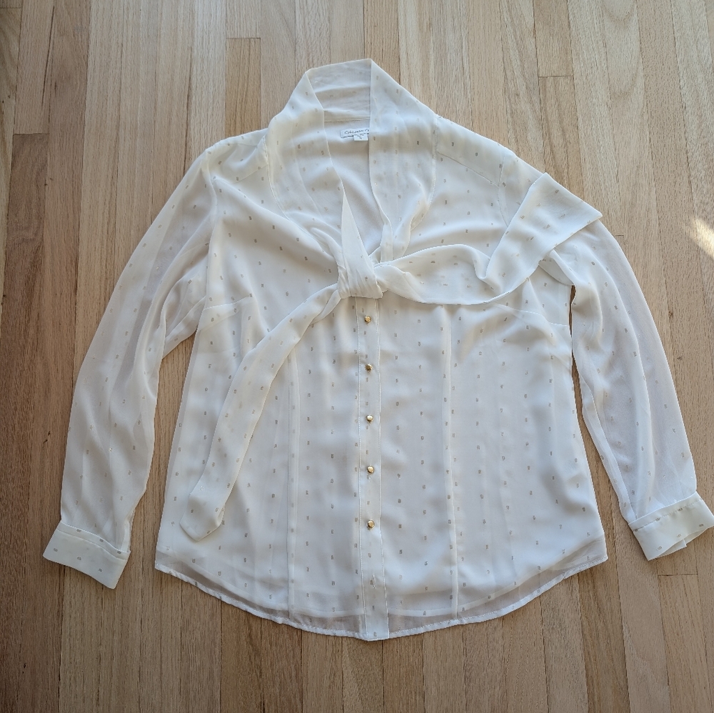 Coldwater Creek White/Cream Sheer Button-Up Blouse With Gold Detailing (Sz 16)